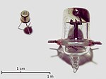 Thumbnail for 955 acorn triode