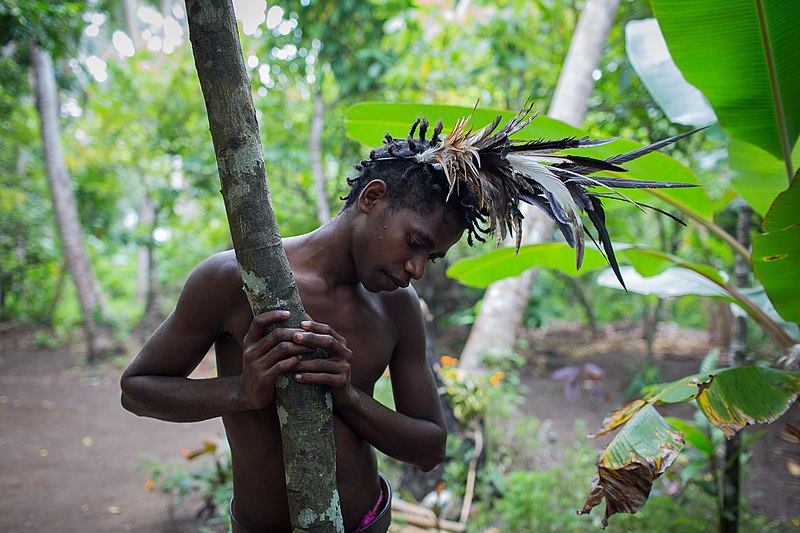 File:A dancer takes a moment break as part of a small nambas kastom village tour on Malekula Island, Vanuatu. (10661827823).jpg