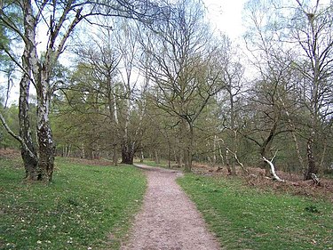Abraham's Valley, Cannock Chase - geograph.org.uk - 407107.jpg