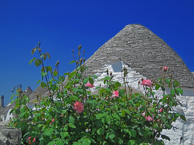 File:Alberobello - Comune di Alberobello - 2023-09-24 15-29-14 004.jpg