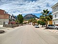 Avenida de las Palmeras de Algámitas.