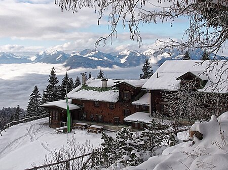 Alpenpflanzengarten im Winter 02