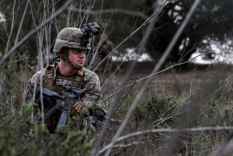 File:Ambush in the Brush (12776345385).jpg