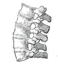 Juvenilne Spondiloartropatije