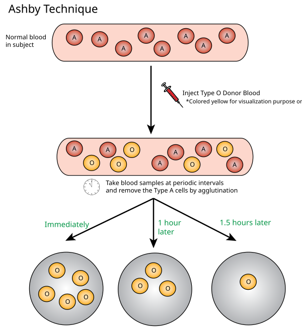 Visual Model of Ashby Technique. Ashbytech.svg