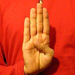 The "B" handshape produced with the the palm facing the camera