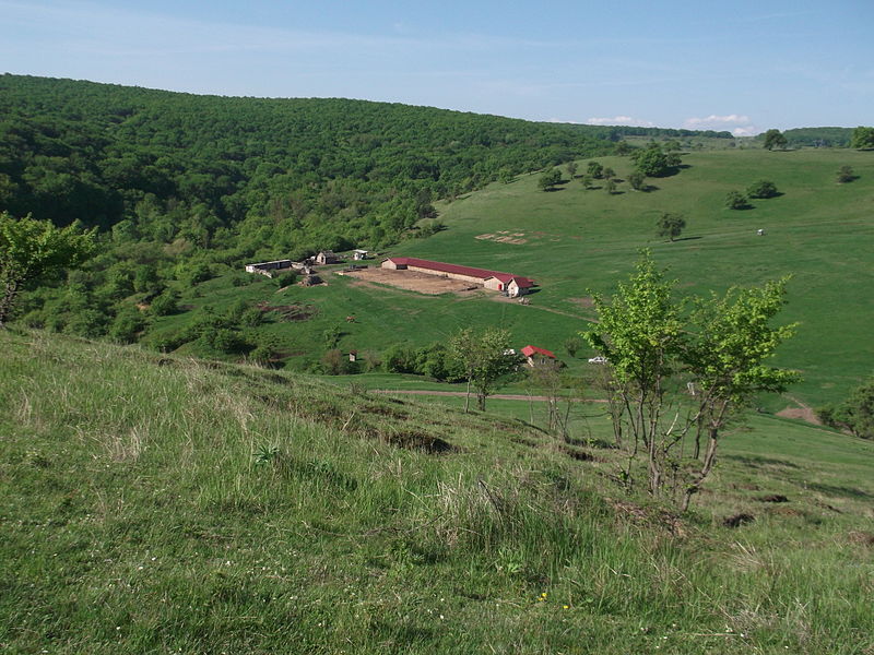 File:Baciu,Cluj-DSCF3545.JPG