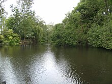 Mill pond on the upper Snowdon Brook, at the eastern edge of the parish. Badger - mill pool.jpg