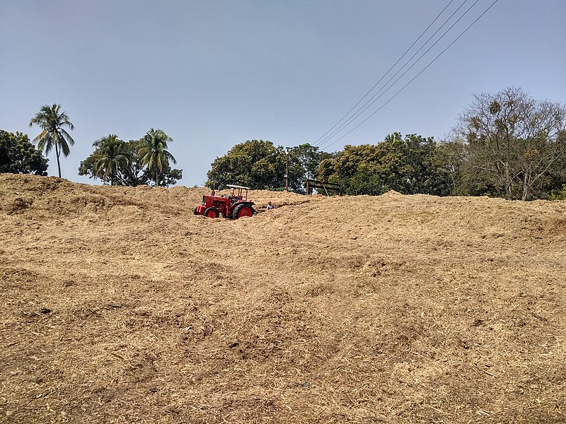 File:Bagasse of Thakurgaon Sugar Mills (02.03.2019) .jpg