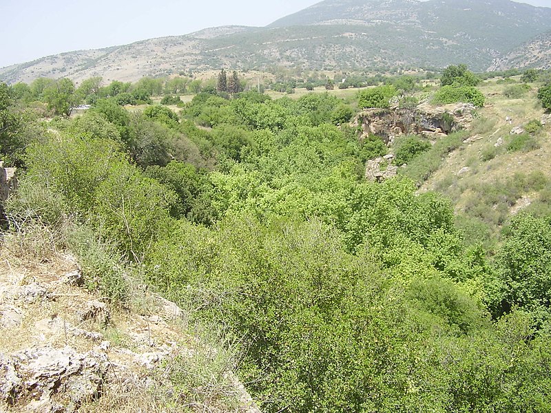 File:Banias river.JPG