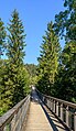 * Nomination Canopy walkway Walderlebniszentrum Ziegelwies, Füssen, Ostallgäu, Bavaria --Llez 06:13, 26 December 2023 (UTC) * Promotion  Support Good quality. --Poco a poco 08:14, 26 December 2023 (UTC)