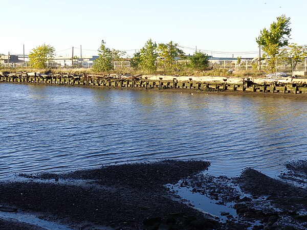 View looking north across cove from Droyer's Point