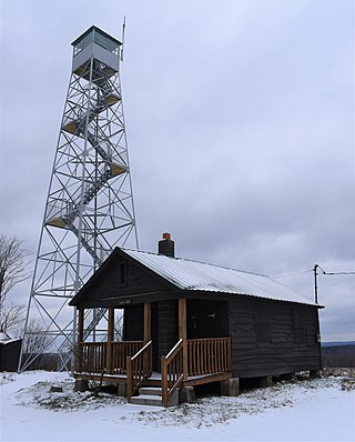 <span class="mw-page-title-main">Berry Hill (New York)</span> Mountain in New York, United States