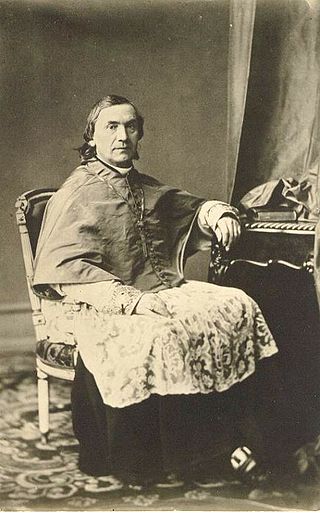 <span class="mw-page-title-main">Jean-Théodore Laurent</span> 19th century Apostolic Vicar of Luxembourg