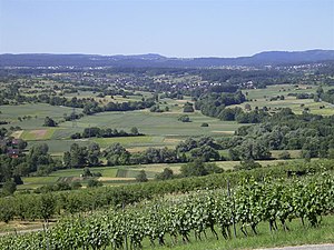 View through the Ellmendinger vineyards to the upper Pfinztal