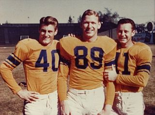 Bob Carey (American football) American football player (1930–1988)