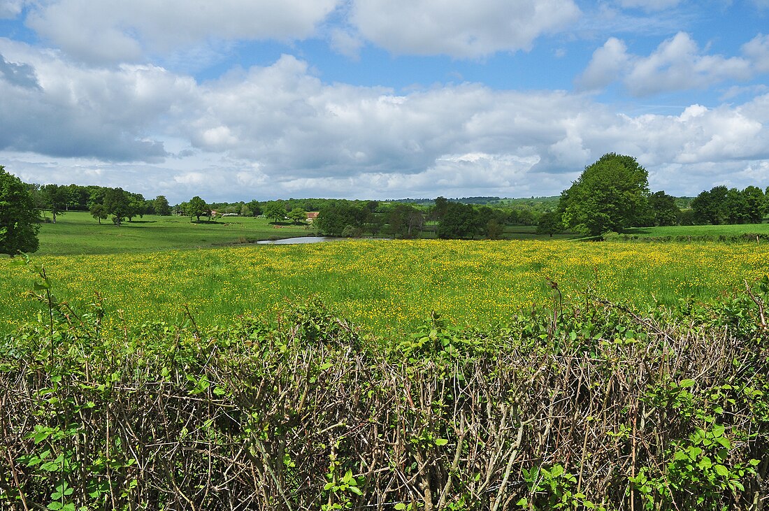 File:Bocage COUZON Allier Bourbonnais.jpg