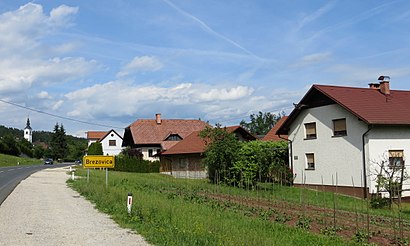 How to get to Brezovica Pri Ljubljani with public transit - About the place