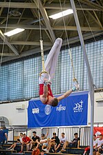 Thumbnail for File:Budapest Cup 2022-06-25 Qualification AG I SR (Norman Seibert) - DSC 5419.jpg