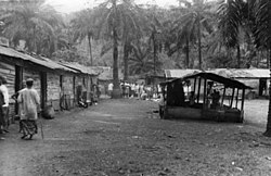 Bananen-Kakaofarm nahe Moliwe während der deutschen Kolonialzeit