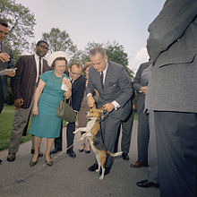 Controversy resulted from a 1964 photo of Lyndon B. Johnson pulling his dog by its ears. C311-7-64 LBJ Library.jpg