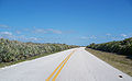 CR A1A, looking north