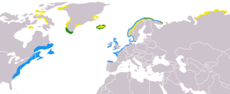 Calidris maritima map2.png