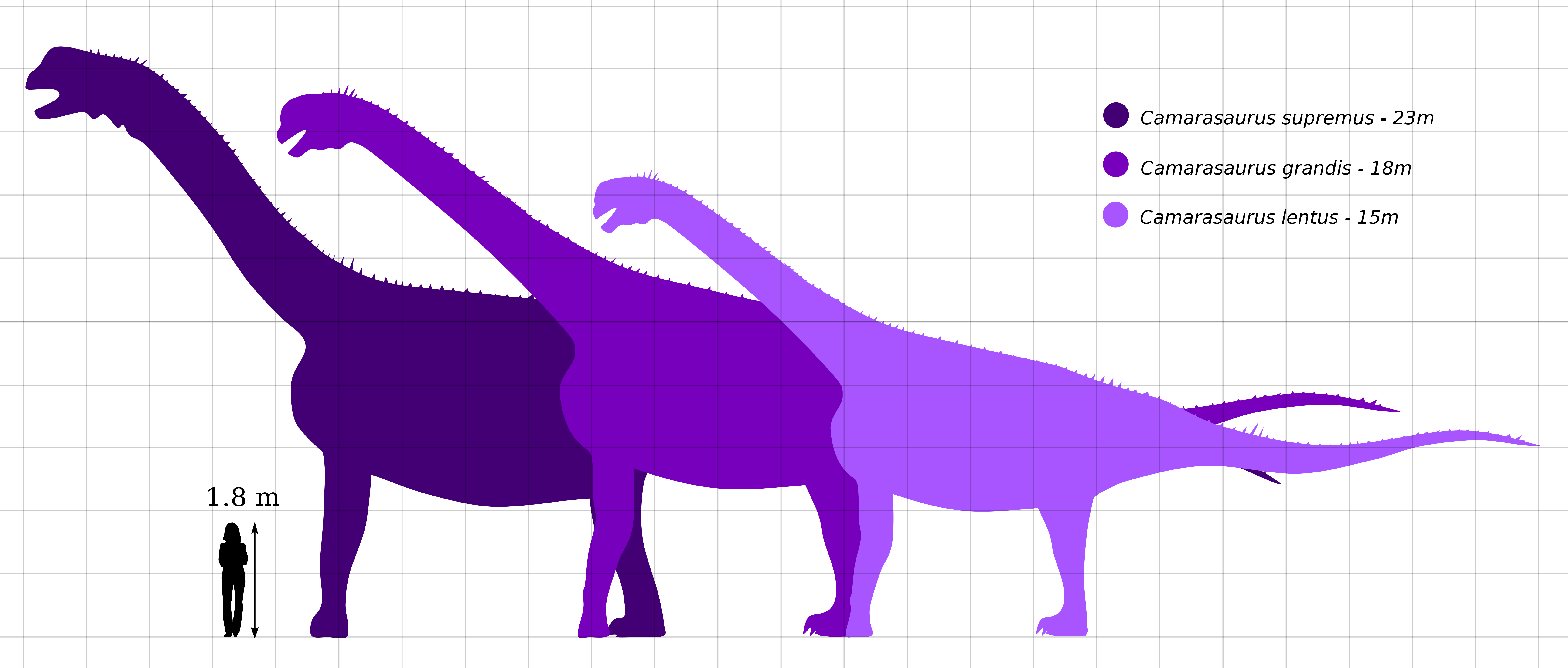Download File:Camarasaurus Size Comparison by PaleoGeek.svg ...