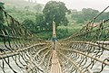 Bridge over the Dri River, Arunachal Pradesh, India