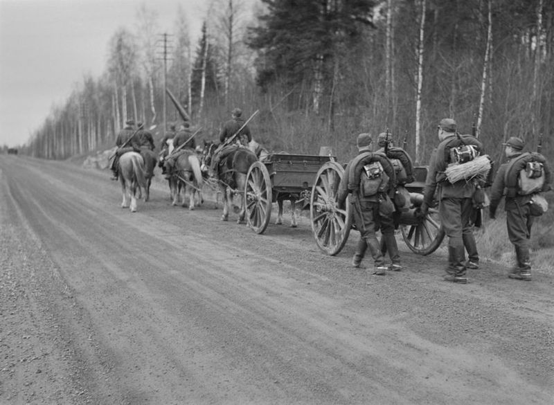 File:Cannon pulled by horses.jpg