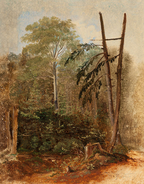 File:Carl Spitzweg - Studie einer Waldlandschaft.jpg