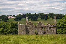 Schlösser von Münster, Dromaneen, Cork - geograph.org.uk - 1392835.jpg