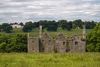 <span class="mw-page-title-main">Dromaneen Castle</span> Fortified house in County Cork, Ireland