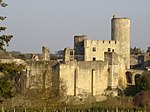 Castillo de Rauzan.JPG