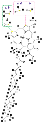 Clorofila: Função, Estrutura química, Propriedades físico-químicas