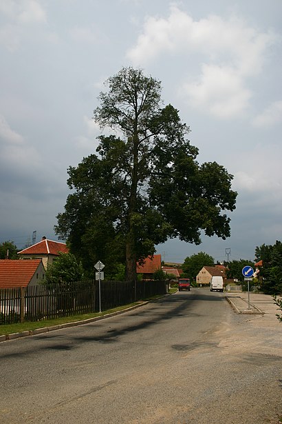 How to get to Chudčice with public transit - About the place