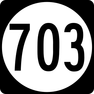 <span class="mw-page-title-main">Virginia State Route 703</span> Secondary route designation