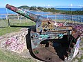 Abandonned coastal defense gun from WWII in Nouméa (East side) in 2018