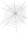 Cobweb (PSF).jpg