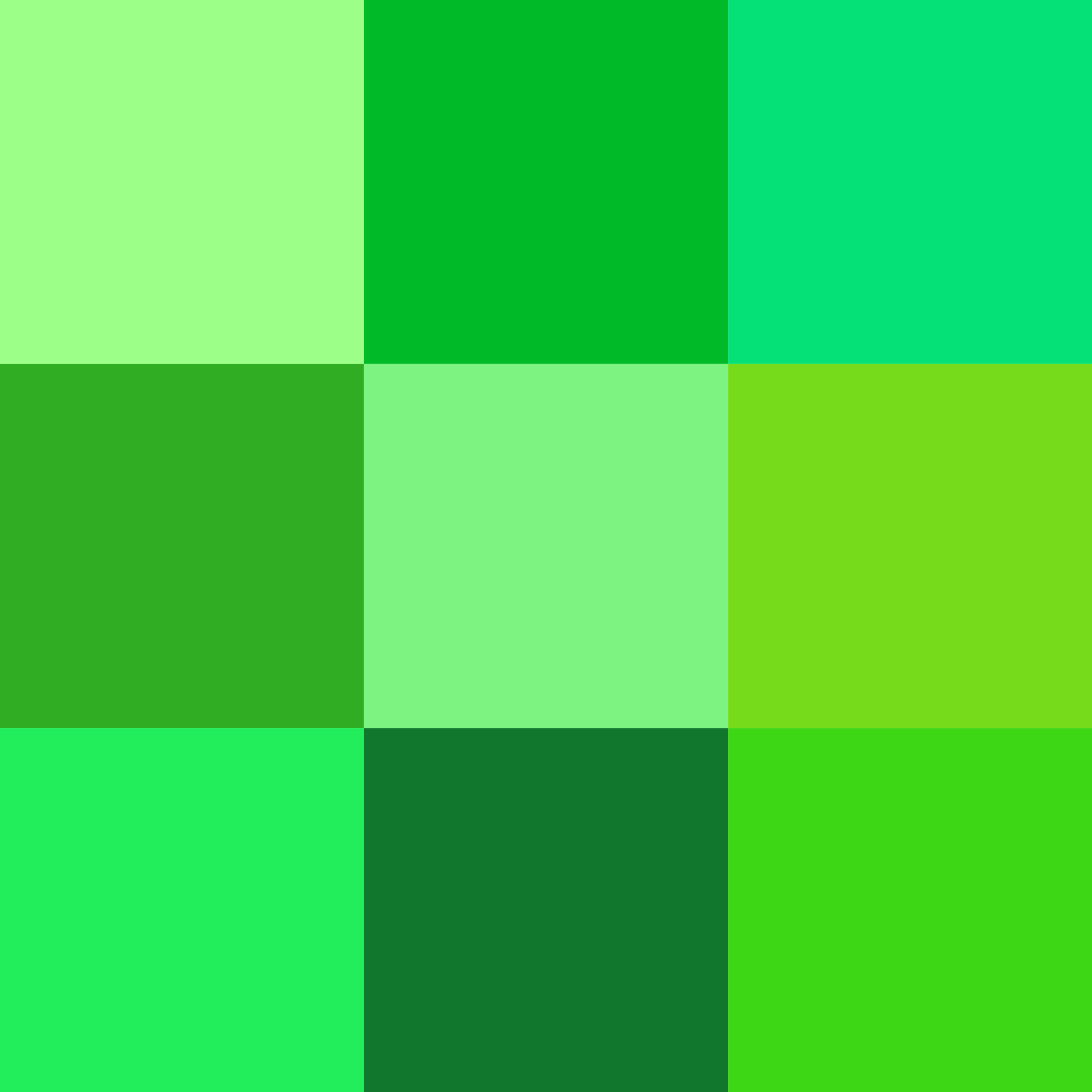 Shades Of Green Wikipedia,Living Room Types Of Window Coverings