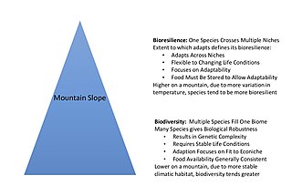 <span class="mw-page-title-main">Bioresilience</span>