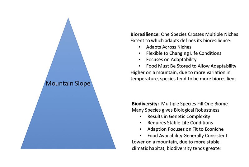 File:Comparison Bioresilience with Biodiversity.jpg