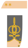 Confederate States of America Lieutenant Colonel-Staff Officer.svg