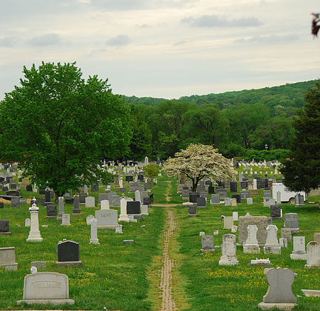 Congressional Cemetery 2009 (4)