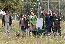 Queen Sofia of Spain and Maria Dolores de Cospedal release an Iberian lynx at "El Castanar", the finca of the Duke of Pastrana in Mazarambroz, Spain Cospedal acompana a la Reina Dona Sofia en la suelta de dos linces en Mazarambroz.jpg