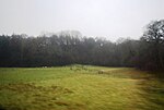 Thumbnail for File:Countryside by the railway line near Marshbrook - geograph.org.uk - 2302343.jpg