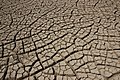 Висихаючий нееластичний бруд солоного болота Качського Ранну, Індія, з тріщинами переважно 90°