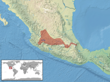 Crotalus polystictus Distribution.png