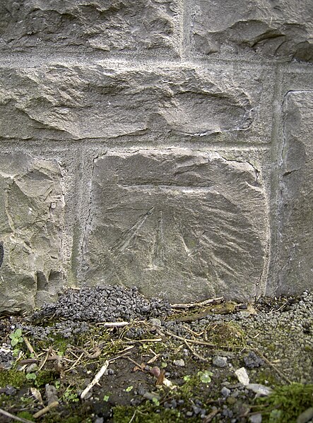 File:Cut benchmark on the Fox and Goose - geograph.org.uk - 2528257.jpg