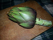 Spined artichoke Cynara cardunculus - spine.jpg